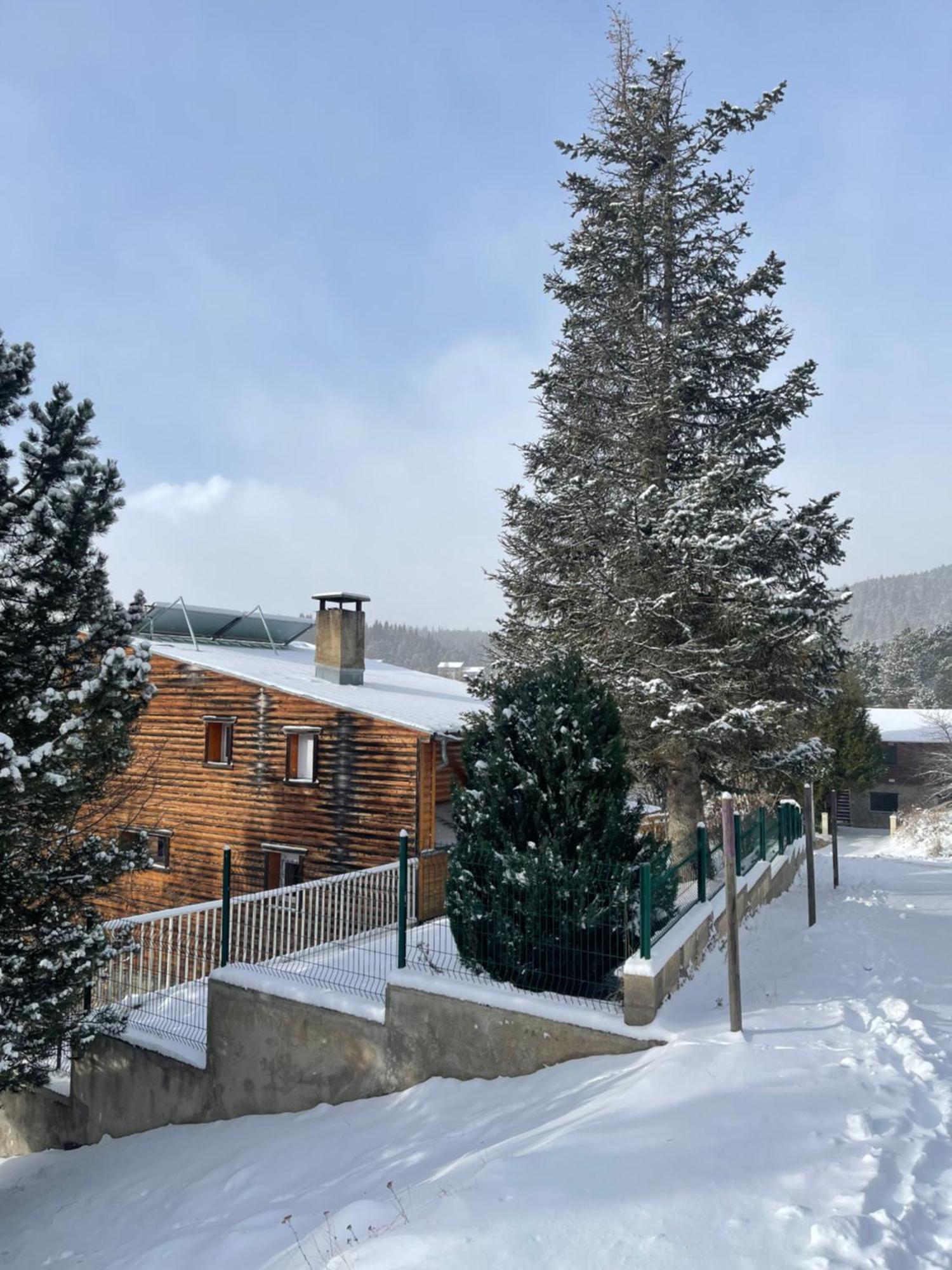 Chalet Isard Pyrenees 2000 - 300M Des Pistes Bolquere Luaran gambar